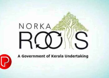 ‘നോര്‍ക്ക റൂട്ട്‌സ് പൂര്‍ണമായി ഡിജിറ്റലൈസ് ചെയ്യും, ലോകകേരളം പോര്‍ട്ടലില്‍ എല്ലാ സേവനങ്ങളും ലഭ്യമാകും’: പി. ശ്രീരാമകൃഷ്ണന്‍