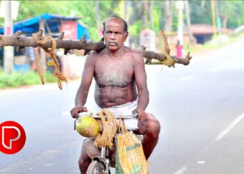 തെങ്ങുകയറ്റ തൊഴിലാളികള്‍ക്ക് ഏഴു ലക്ഷം രൂപയുടെ അപകട ഇന്‍ഷ്വറന്‍സ് പരിരക്ഷ