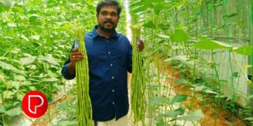 കർഷകനിൽ നിന്ന് കാർഷിക പ്രമോട്ടറിലേക്ക്; വീടുകളിലും സ്കൂളുകളിലും കൃഷി ഇപ്പോൾ ഹൈടെക് ആണ്