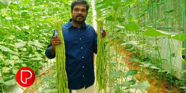 കർഷകനിൽ നിന്ന് കാർഷിക പ്രമോട്ടറിലേക്ക്; വീടുകളിലും സ്കൂളുകളിലും കൃഷി ഇപ്പോൾ ഹൈടെക് ആണ്