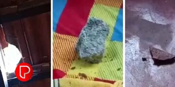 വാലില്ലാപുഴയിൽ ക്രഷറിൽ നിന്ന് കല്ല് തെറിച്ചു വീണ് ഗർഭിണിക്ക് പരിക്ക്