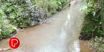 കാരശേരി പഞ്ചായത്തിലെ പത്താം വാർഡില്‍ തോട്ടിലേക്ക് നിരന്തരമായി മലിനജലം ഒഴുക്കിവിടുന്നു; നാട്ടുകാര്‍ ദുരിതത്തില്‍