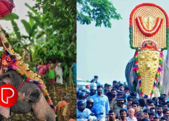 കോഴിക്കോട് ജില്ലയില്‍ ഫെബ്രുവരി 21 വരെ എല്ലാ ആന എഴുന്നള്ളിപ്പുകളും ഒഴിവാക്കാന്‍ തീരുമാനം