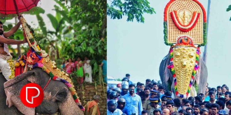 കോഴിക്കോട് ജില്ലയില്‍ ഫെബ്രുവരി 21 വരെ എല്ലാ ആന എഴുന്നള്ളിപ്പുകളും ഒഴിവാക്കാന്‍ തീരുമാനം