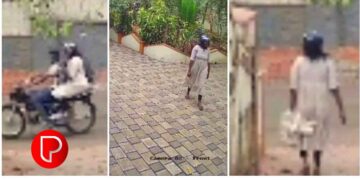 ഓമശ്ശേരി പെരുവല്ലിയിൽ പട്ടാപ്പകൽ കുരുമുളക് മോഷണം