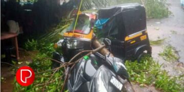 ഇന്നലെ വൈകീട്ടോടെ പെയ്ത കനത്ത മഴക്കൊപ്പം ശക്തമായ കാറ്റും; പതങ്കയത്തും നാരങ്ങാത്തോടും വ്യാപക നാശനഷ്ടം