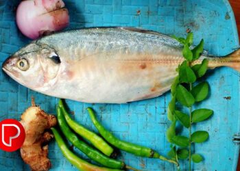 വീട്ടില്‍ കാച്ചില്‍ കൃഷി ചെയ്യാം; കൂടുതല്‍ വിളവിനുള്ള എളുപ്പ വഴികള്‍