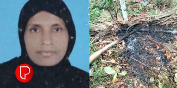 തെങ്ങോല ശേഖരിക്കുന്നതിനിടെ ഇടിമിന്നലേറ്റു; ചാത്തമം​ഗലത്ത് വീട്ടമ്മയ്ക്ക് ദാരുണാന്ത്യം; ഇടിമിന്നൽ ഏറ്റ് തെങ്ങോല കത്തി കരിഞ്ഞു