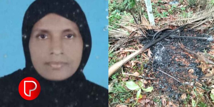 തെങ്ങോല ശേഖരിക്കുന്നതിനിടെ ഇടിമിന്നലേറ്റു; ചാത്തമംഗലത്ത് വീട്ടമ്മയ്ക്ക് ദാരുണാന്ത്യം; ഇടിമിന്നൽ ഏറ്റ് തെങ്ങോല കത്തി കരിഞ്ഞു