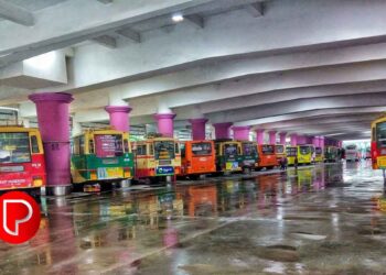 വയനാട്ടില്‍ കെഎസ്ആര്‍ടിസി സ്‌കാനിയ ബസ് ഇടിച്ച് പുള്ളിമാന്‍ ചത്തു; യാത്രക്കാരെ ഒഴിപ്പിച്ച് ബസ് കസ്റ്റഡിയിലെടുത്ത് വനപാലകര്‍