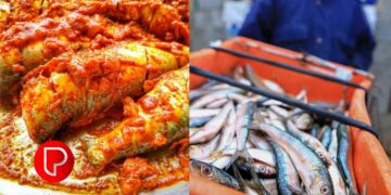 വീട്ടില്‍ കാച്ചില്‍ കൃഷി ചെയ്യാം; കൂടുതല്‍ വിളവിനുള്ള എളുപ്പ വഴികള്‍