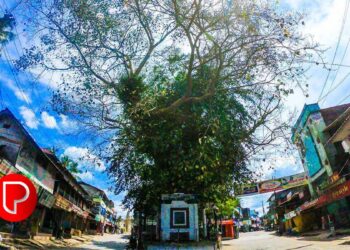 കൂടുതൽ മനോഹരമാക്കാൻ ഒരുങ്ങി മുക്കം; രണ്ടാം ഘട്ട സൗന്ദര്യവൽക്കരണ പ്രവർത്തനങ്ങൾക്കുള്ള ടെൻഡർ ക്ഷണിച്ചു