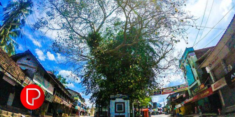 കൂടുതൽ മനോഹരമാക്കാൻ ഒരുങ്ങി മുക്കം; രണ്ടാം ഘട്ട സൗന്ദര്യവൽക്കരണ പ്രവർത്തനങ്ങൾക്കുള്ള ടെൻഡർ ക്ഷണിച്ചു