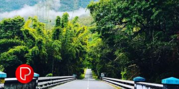 ഊട്ടിയിലും കൊടൈക്കനാലിലും സഞ്ചാരികൾക്ക് നിയന്ത്രണം; ഇ പാസ് ഇന്നുമുതൽ