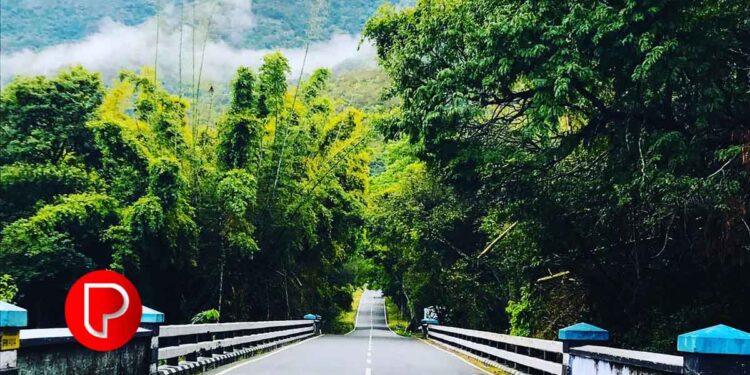 ഊട്ടിയിലും കൊടൈക്കനാലിലും സഞ്ചാരികൾക്ക് നിയന്ത്രണം; ഇ പാസ് ഇന്നുമുതൽ