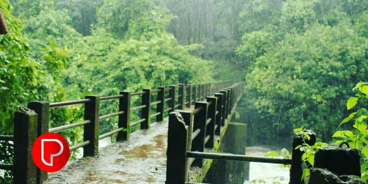 കക്കാടംപൊയില്‍ ഇക്കോ ടൂറിസം കേന്ദ്രമാകുന്നു: 19 ഹെക്ടറില്‍ ബൃഹദ് വിനോദസഞ്ചാര പദ്ധതി