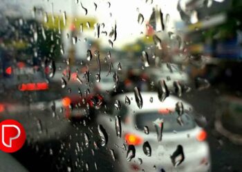 വയനാട്ടില്‍ കെഎസ്ആര്‍ടിസി സ്‌കാനിയ ബസ് ഇടിച്ച് പുള്ളിമാന്‍ ചത്തു; യാത്രക്കാരെ ഒഴിപ്പിച്ച് ബസ് കസ്റ്റഡിയിലെടുത്ത് വനപാലകര്‍