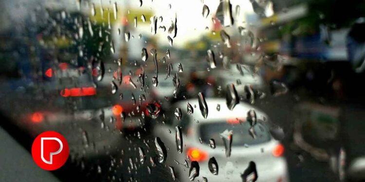 വയനാട്ടില്‍ കെഎസ്ആര്‍ടിസി സ്‌കാനിയ ബസ് ഇടിച്ച് പുള്ളിമാന്‍ ചത്തു; യാത്രക്കാരെ ഒഴിപ്പിച്ച് ബസ് കസ്റ്റഡിയിലെടുത്ത് വനപാലകര്‍