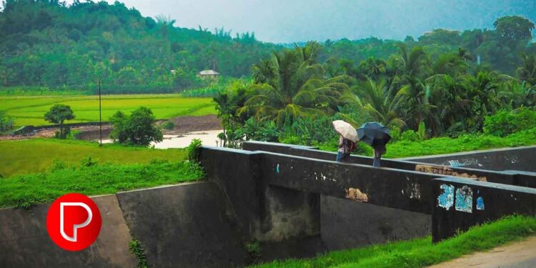 സ്കൂളിൽ കുട്ടികളുടെ മുന്നിൽ അധ്യാപകരുടെ ഭക്ഷണപാർട്ടി വേണ്ട -ബാലാവകാശ കമീഷൻ