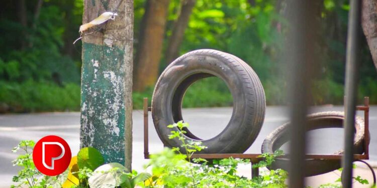 കാറ്റ് നിറക്കുന്നതിനിടെ ടയർ പൊട്ടിത്തെറിച്ച് കോഴിക്കോട് സ്വദേശി ഗുജറാത്തിൽ മരിച്ചു