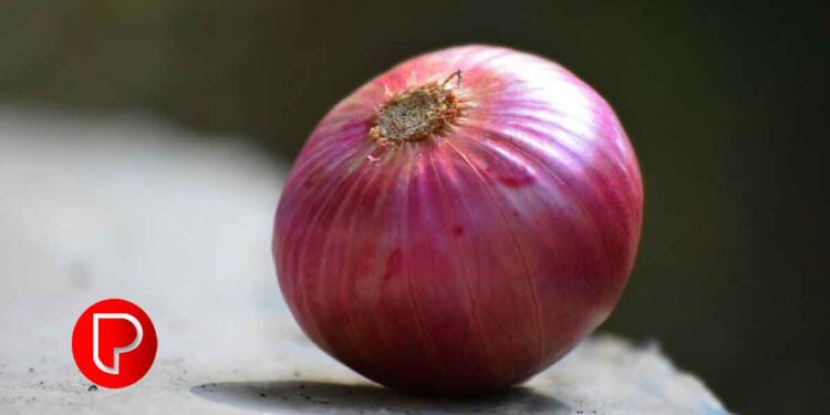 വിളവ് കൂടുമ്ബോള്‍ വിലയിടിയുന്നു, കുറയുമ്ബോള്‍ വിലക്കയറ്റം; കര്‍ണാടകയിലെ ഉള്ളി കര്‍ഷകരുടെ ദുര്യോഗം