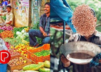 കോഴിക്കോട്‌ നഗരത്തിലെ 1920 വഴിയോര കച്ചവടക്കാര്‍ക്ക്‌ തിരിച്ചറിയല്‍ കാര്‍ഡ്‌ വിതരണം 19ന്‌