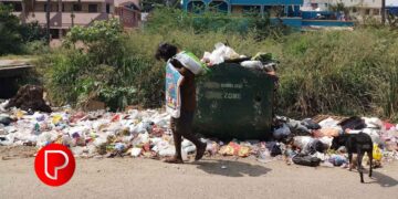 മാലിന്യം വലിച്ചെറിയല്‍; വാട്ട്‌സ്ആപ്പ് വഴി 2895 പരാതികൾ ലഭിച്ചു