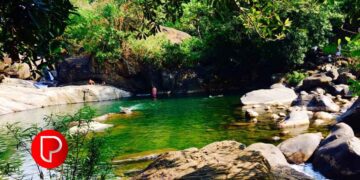 പതങ്കയത്ത് സുരക്ഷാ സംവിധാനങ്ങള്‍ ഒരുക്കി