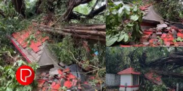 ചുഴലിക്കാറ്റില്‍ വൻമരം കടപുഴകി വീണ് വടകര വില്ല്യാപ്പള്ളിയിൽ പതിറ്റാണ്ടുകള്‍ പഴക്കമുള്ള പാങ്ങോട്ടൂർ ഭഗവതി ക്ഷേത്രം തകർന്നു