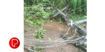 എൻഐടിക്കു സമീപം താഴെ പന്ത്രണ്ടാംമൈൽ വളവിൽ ഓടിക്കൊണ്ടിരുന്ന ബസിനുമുകളിലേക്ക് എച്ച്ടി ലൈൻ പൊട്ടിവീണു