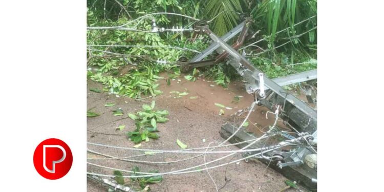 എൻഐടിക്കു സമീപം താഴെ പന്ത്രണ്ടാംമൈൽ വളവിൽ ഓടിക്കൊണ്ടിരുന്ന ബസിനുമുകളിലേക്ക് എച്ച്ടി ലൈൻ പൊട്ടിവീണു