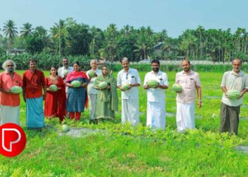 എളേറ്റിൽ വട്ടോളിയിൽ രേഖകളില്ലാതെ കടത്തുകയായിരുന്ന 4 കോടിയോളം രൂപ പിടികൂടി
