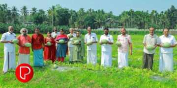 എളേറ്റിൽ വട്ടോളിയിൽ രേഖകളില്ലാതെ കടത്തുകയായിരുന്ന 4 കോടിയോളം രൂപ പിടികൂടി