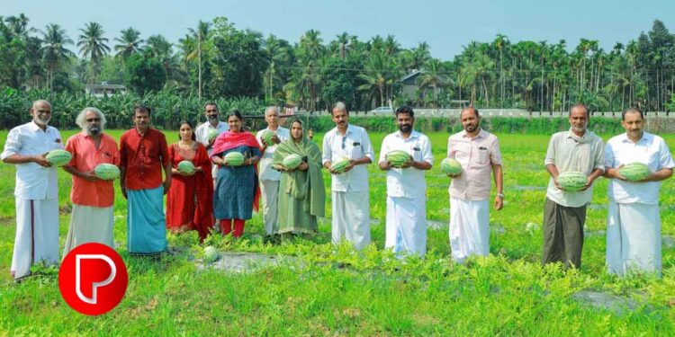 എളേറ്റിൽ വട്ടോളിയിൽ രേഖകളില്ലാതെ കടത്തുകയായിരുന്ന 4 കോടിയോളം രൂപ പിടികൂടി