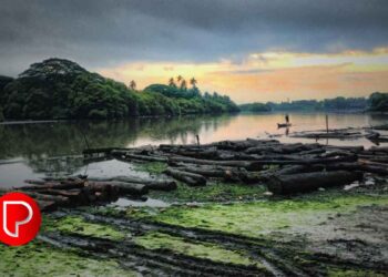 കല്ലായി പുഴ നവീകരണം ഇഴഞ്ഞുനീങ്ങുന്നു: പുഴ സംരക്ഷണസമിതി