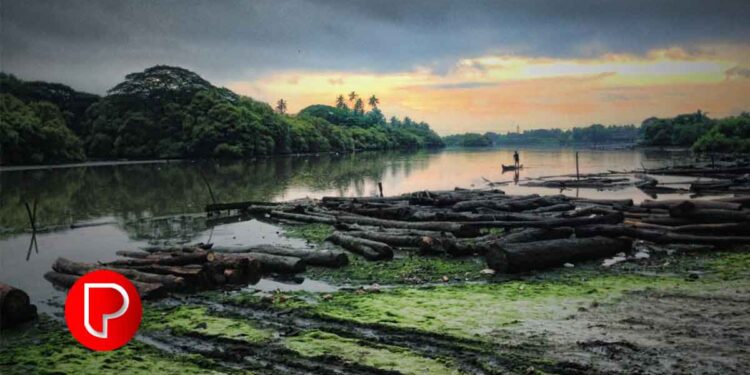 കല്ലായി പുഴ നവീകരണം ഇഴഞ്ഞുനീങ്ങുന്നു: പുഴ സംരക്ഷണസമിതി