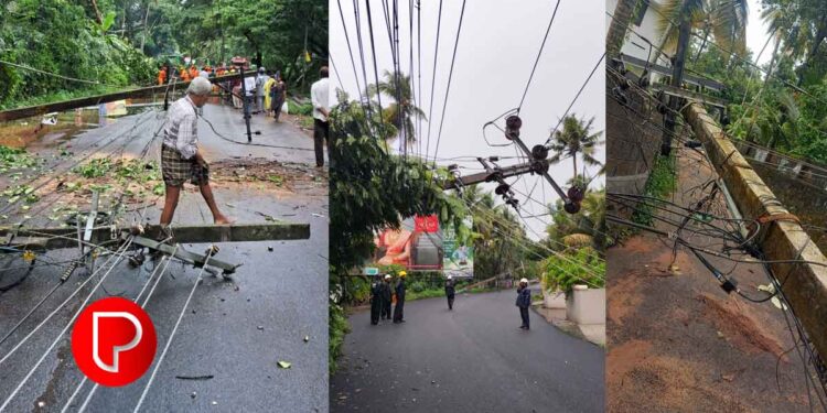മഴയോടൊപ്പം കനത്ത കാറ്റ്; കോഴിക്കോട് ജില്ലയില് കെഎസ്ഇബിയുടെ നഷ്ടം 1.85 കോടിയായി