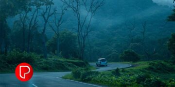 ഊട്ടി-ഗൂഡല്ലുർ റോഡിൽ ഗതാഗത നിയന്ത്രണം; ബസുകൾക്കും എമർജൻസി വാഹനങ്ങൾക്കും മാത്രം അനുമതി