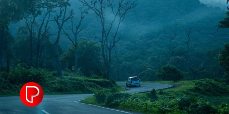 ഊട്ടി-ഗൂഡല്ലുർ റോഡിൽ ഗതാഗത നിയന്ത്രണം; ബസുകൾക്കും എമർജൻസി വാഹനങ്ങൾക്കും മാത്രം അനുമതി