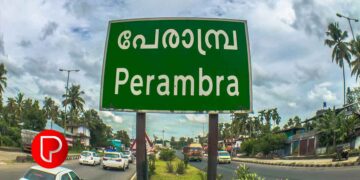 വടകര-പേരാമ്പ്ര റോഡിൽ മരംവീണ് ഗതാഗതം തടസ്സപ്പെട്ടു