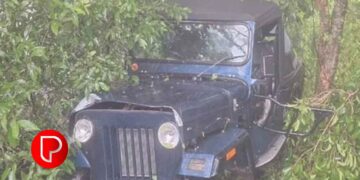 വയലടയില്‍ വിനോദസഞ്ചാരത്തിനെത്തിയ സംഘം സഞ്ചരിച്ച ജീപ്പ് മറിഞ്ഞ് അപകടം