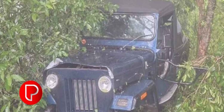 വയലടയില്‍ വിനോദസഞ്ചാരത്തിനെത്തിയ സംഘം സഞ്ചരിച്ച ജീപ്പ് മറിഞ്ഞ് അപകടം