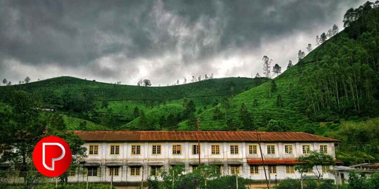 കോഴിക്കോട് മെഡിക്കൽ കോളേജ് തീപിടിത്തം: അപകടത്തിന് പിന്നാലെ മരണം 5; കാരണം കണ്ടെത്താൻ പരിശോധനകൾ ഇന്ന്