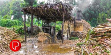 ഈങ്ങാപ്പുഴയില്‍ കൃത്രിമ നിറം ചേർത്ത് ശർക്കര വിൽപ്പന; സ്ഥാപനത്തിന് ഒരു ലക്ഷം രൂപ പിഴ ചുമത്തി കോടതി