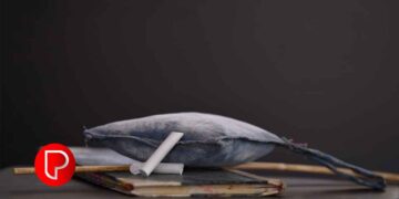 ഭിന്നശേഷി അധ്യാപക നിയമനം ഉടൻ നടത്തണം ; സർക്കാർ ഉത്തരവുകൾ ഹൈക്കോടതി ശരിവച്ചു