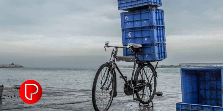 കനത്ത മഴ, മത്സ്യത്തിന്റെ കുറവ്, ലഭ്യമായതിനോ ഉയർന്ന വിലയും