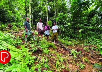 മേലെ പൊന്നാങ്കയത്ത്‌ കാട്ടനകളടക്കമുള്ള വന്യമൃഗങ്ങളുടെ ശല്യം രൂക്ഷം; ജനങ്ങള്‍ വലയുന്നു