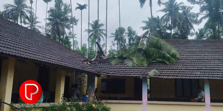 പൊന്നാങ്കയത്ത് ശക്തമായ കാറ്റിൽ സ്കൂളിനു മുകളിലേക്ക് തെങ്ങ് വീണു, 2 ക്ലാസുകൾ പൂർണമായി തകർന്നു