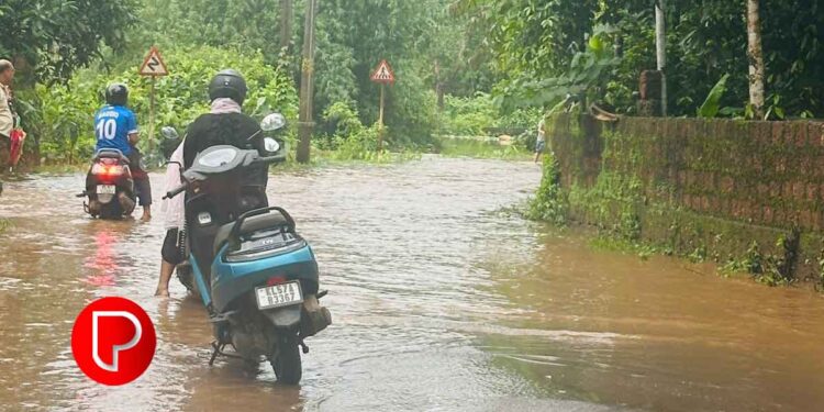 മഴ തുടരുന്നു; ഇരുവഞ്ഞിപ്പുഴയും ചാലിയാറും നിറഞ്ഞ് താഴ്ന്ന പ്രദേശങ്ങള്‍ വെള്ളത്തിനടിയില്‍