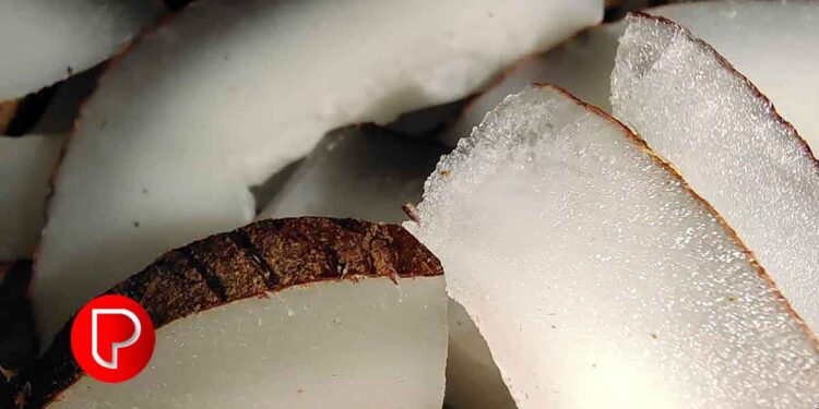 കൊപ്രയുടെ വിപണി വില 23,250; സർക്കാർ 11,582 രൂപയ്ക്ക് സംഭരിക്കുമെന്ന്; വിമർശനം